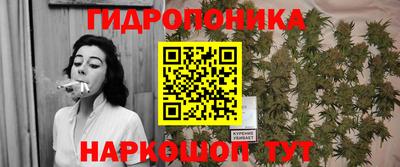 apvp Гусь-Хрустальный