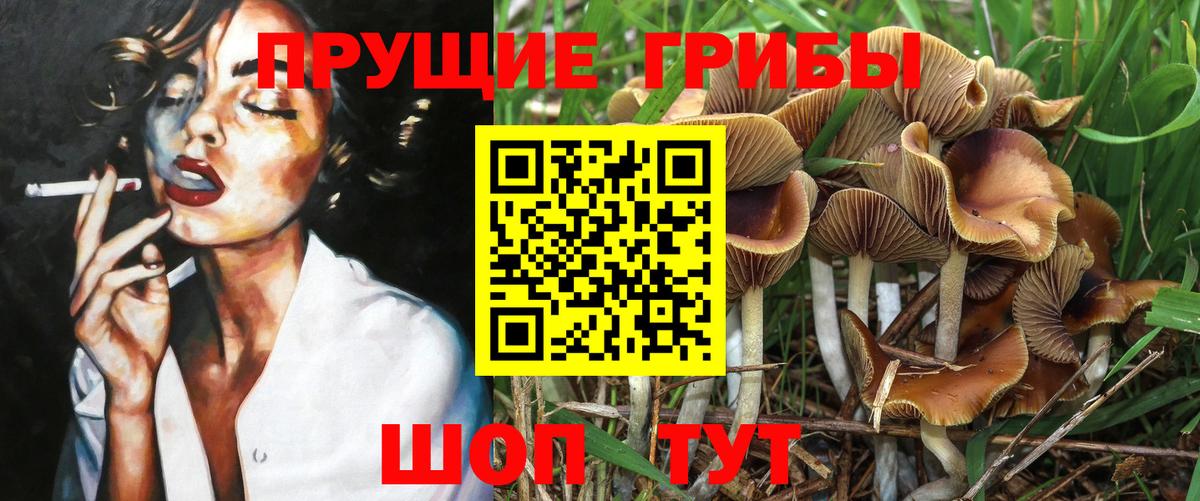 Галлюциногенные грибы ЛСД Коряжма